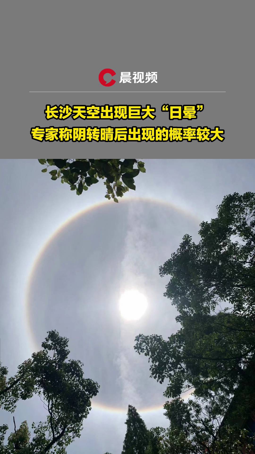 t泿(bo)^L(zhng)ɳճF(xin)޴ՕҷQD(zhun)F(xin)ĸ^